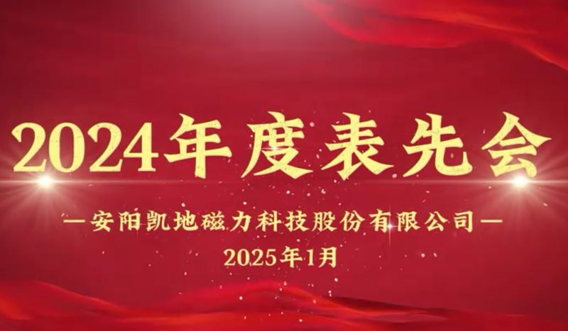 公司召開(kāi)2024年度表先會(huì)，對(duì)37名優(yōu)秀員工進(jìn)行表彰